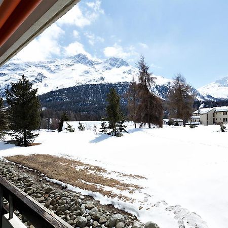 Gemuetliches Studio In Champfer/St.Moritz Sankt Moritz Eksteriør bilde